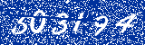 Capcha image