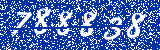 Capcha image