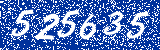 Capcha image