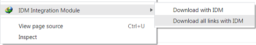 'Download all links with IDM' Internet Explorer right click pop-up menu